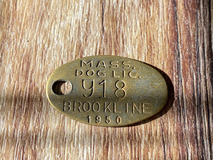 1950 Brookline Massachusetts Brass Dog License Tag at Duckwells