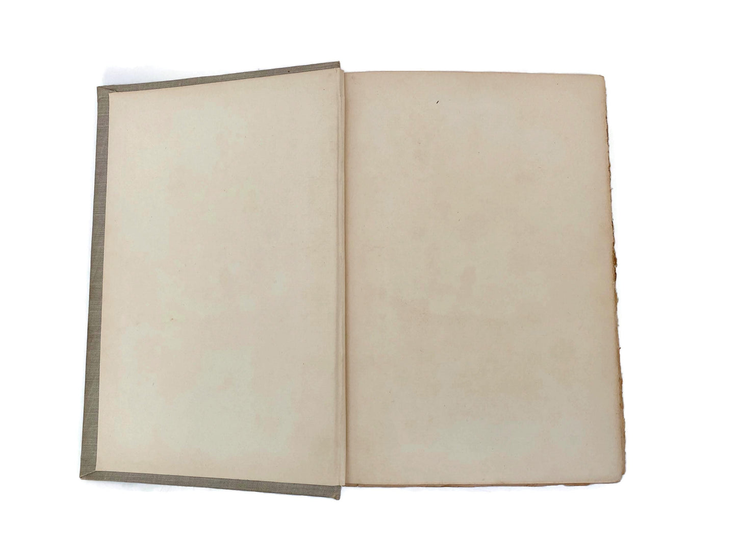 Antique Hardcover Book, The Italian Novelists, Volume Two at Duckwells