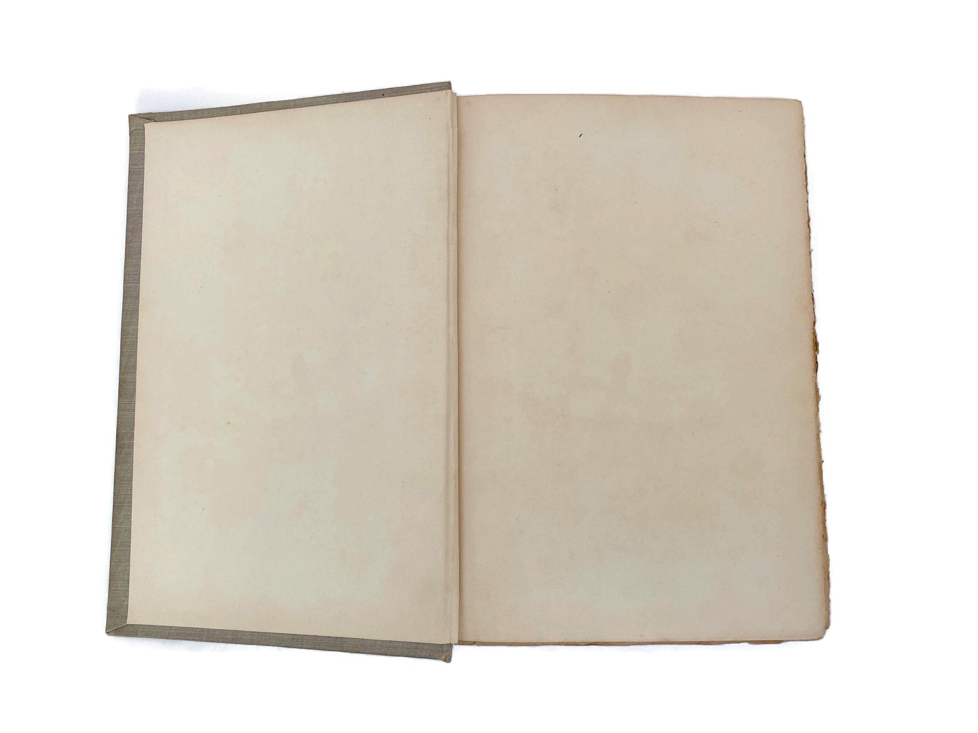 Antique Hardcover Book, The Italian Novelists, Volume Two at Duckwells