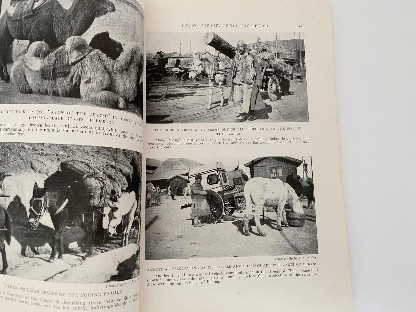 Antique National Geographic Magazine, November 1920 at Duckwells