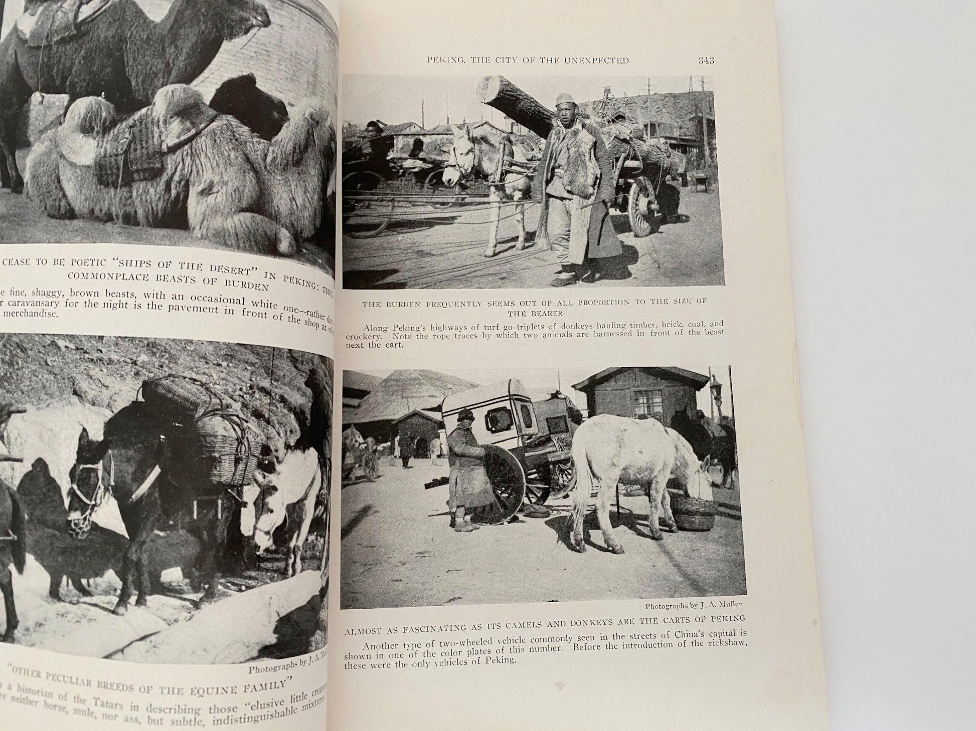 Antique National Geographic Magazine, November 1920 at Duckwells