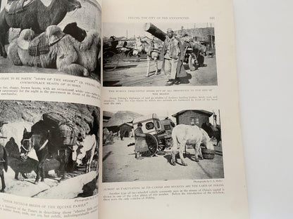 Antique National Geographic Magazine, November 1920 at Duckwells