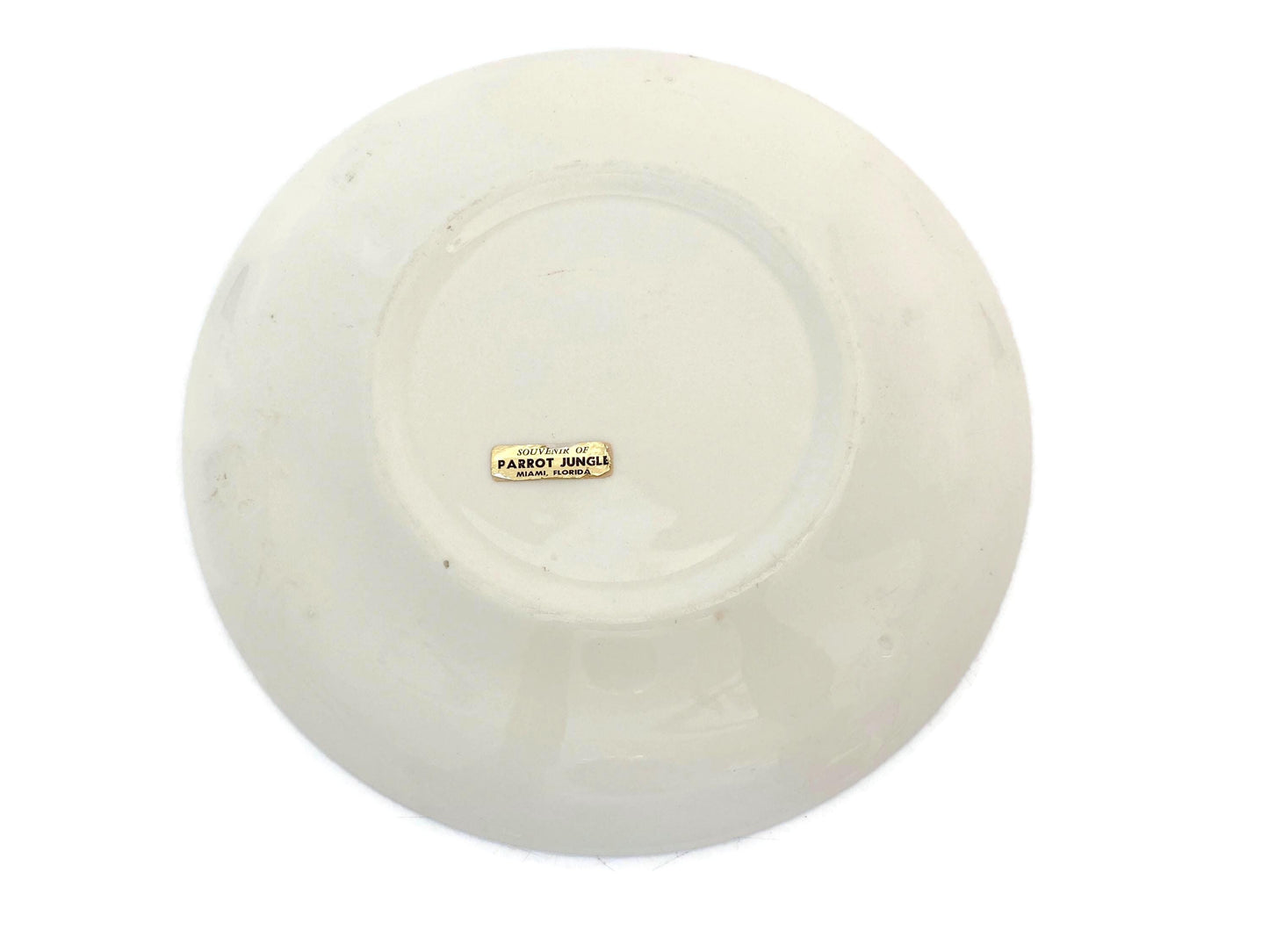 Vintage Florida Souvenir Plate at Duckwells