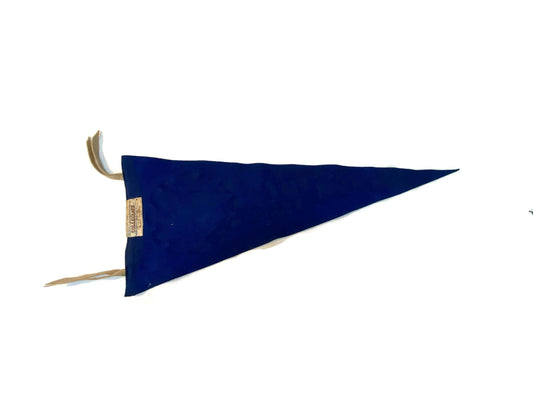 Vintage Hood College Pennant, MidCentury Maryland Wall Decor
