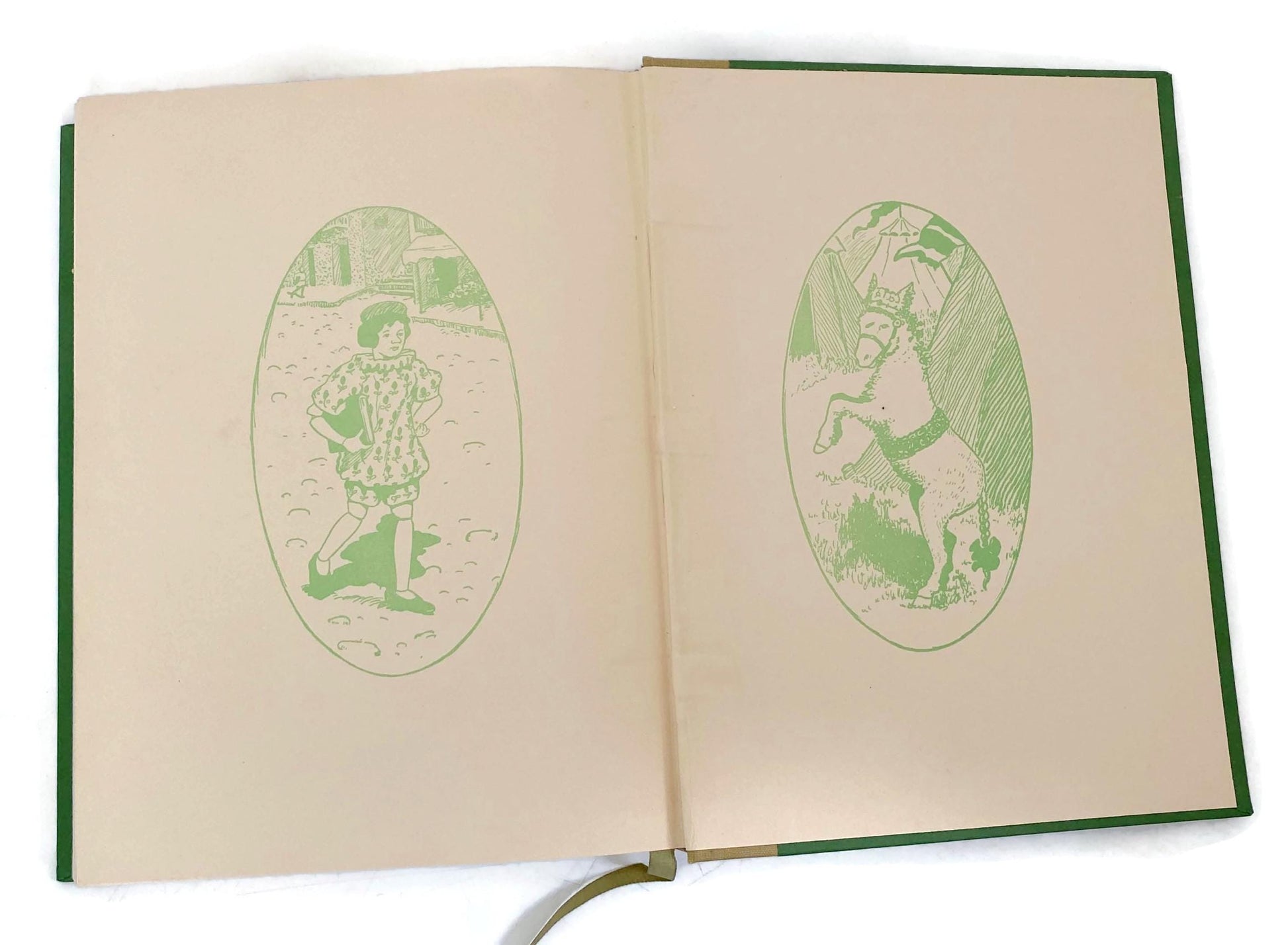 Antique Book, Pinocchio The Story of A Puppet, De Luxe Edition at Duckwells