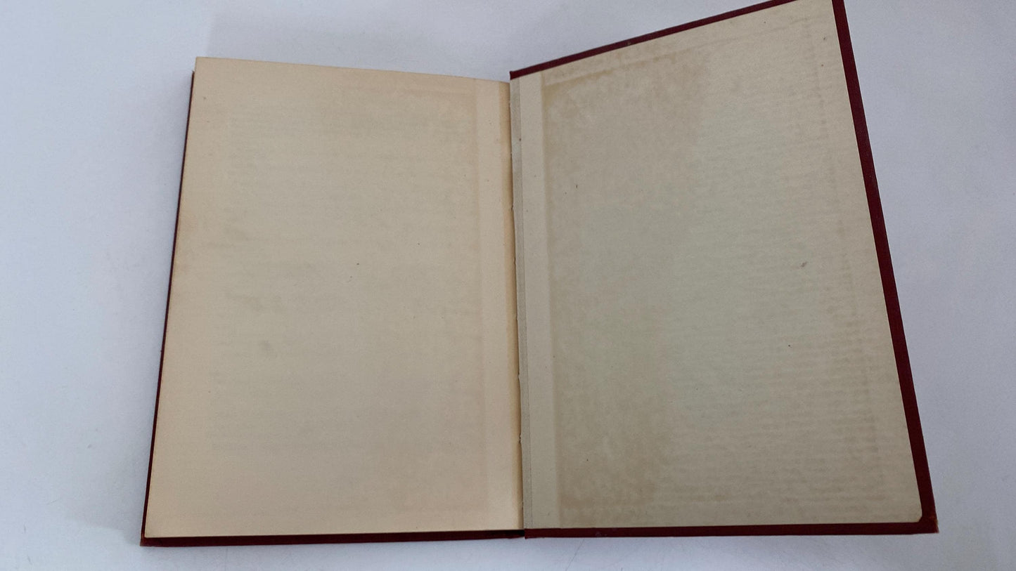 Vintage Children's Book, Beyond Treasure Valley at Duckwells