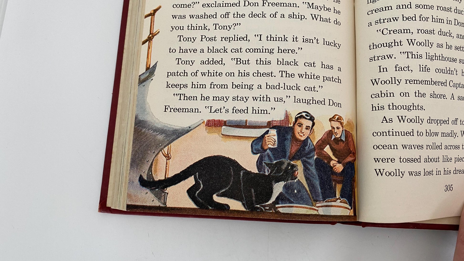 Vintage Children's Book, Beyond Treasure Valley at Duckwells