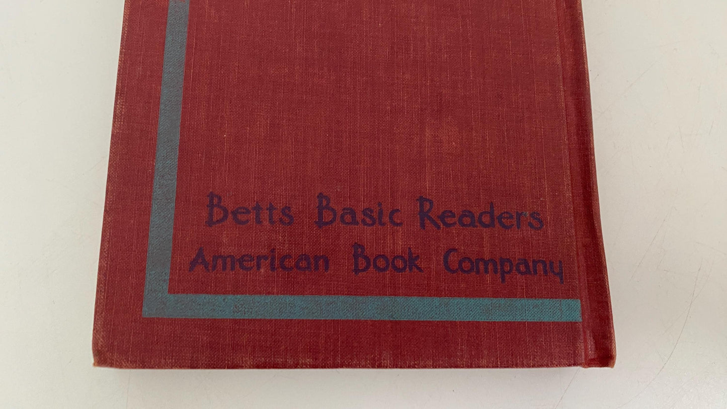 Vintage Children's Book, Beyond Treasure Valley at Duckwells