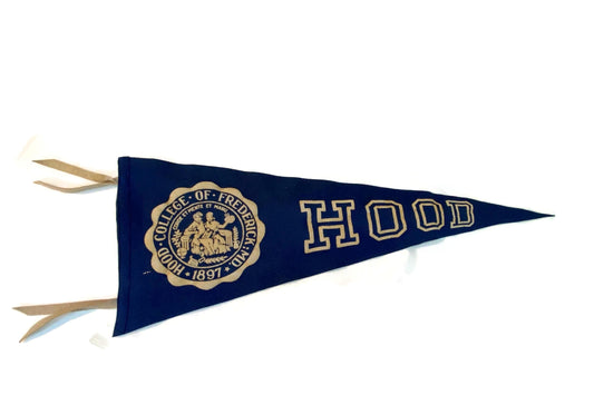 Vintage Hood College Pennant, MidCentury Maryland Wall Decor
