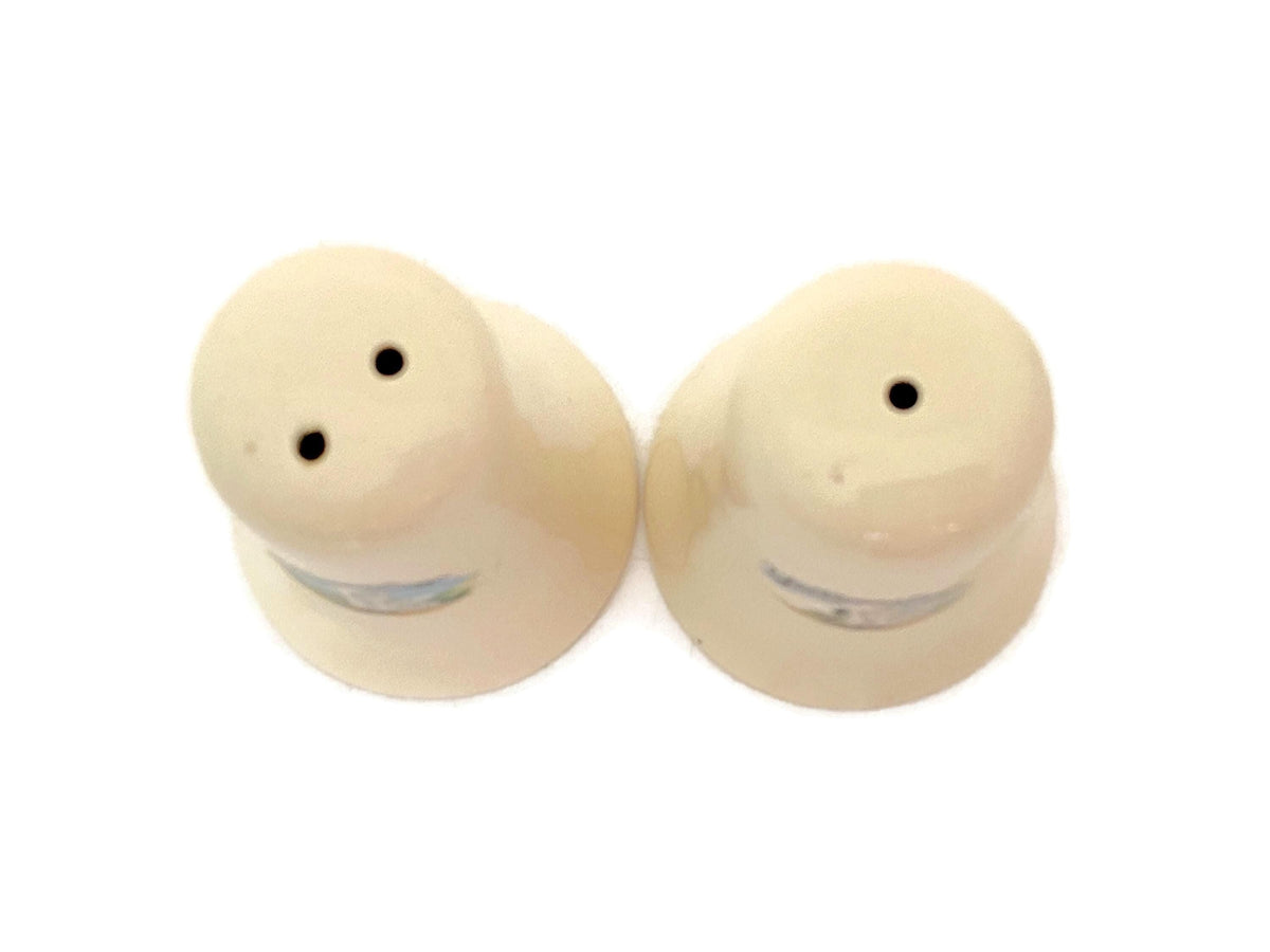 Vintage Yellowstone National Park Salt & Pepper Shakers
