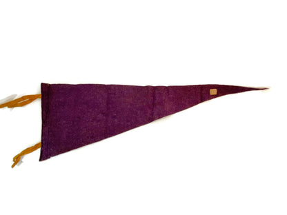 Vintage Ft. Sam Houston Texas Pennant at Duckwells