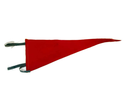 Vintage Mt. Wachusett Massachusetts Pennant
