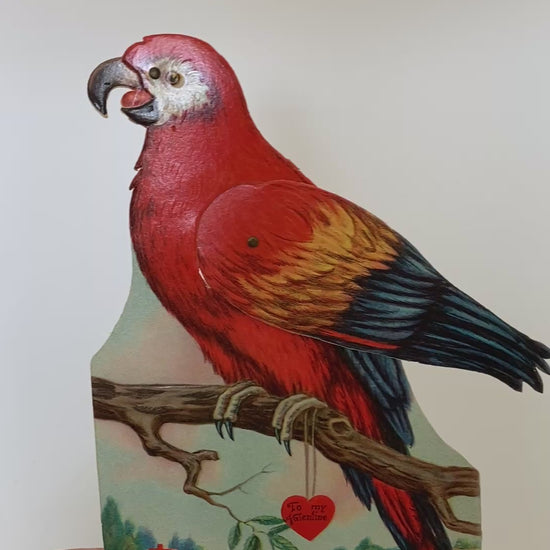 Parrot Valentine Card 