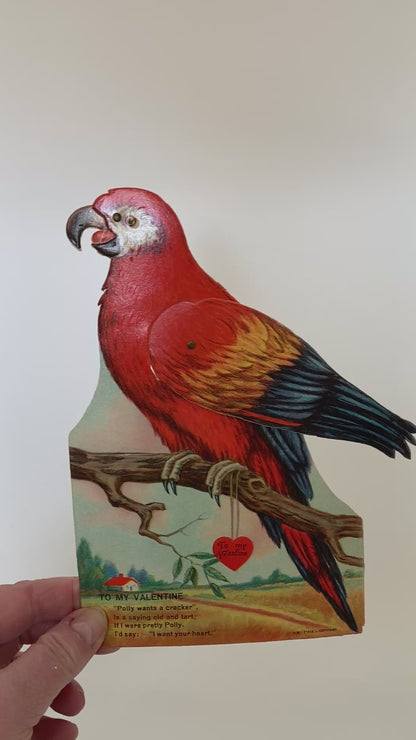 Parrot Valentine Card 