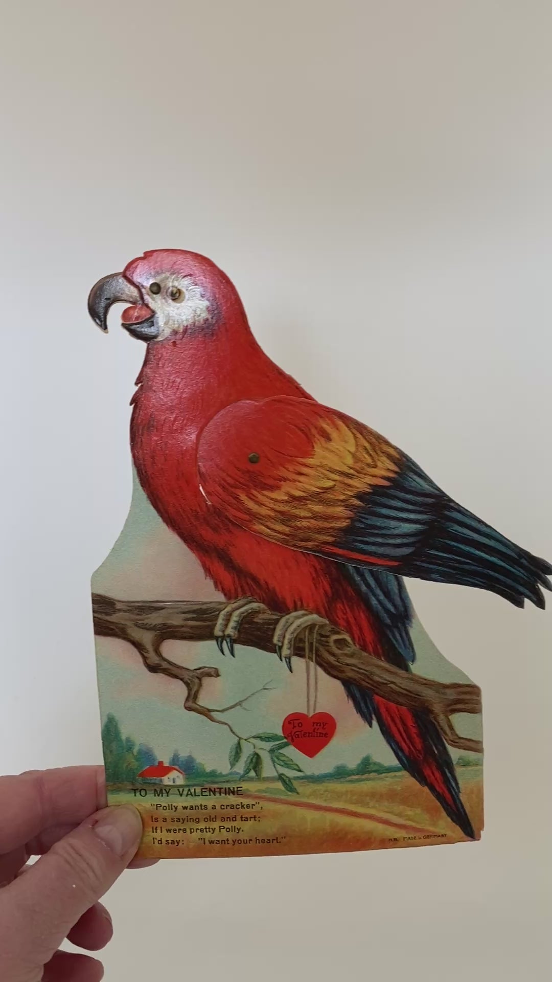 Parrot Valentine Card 