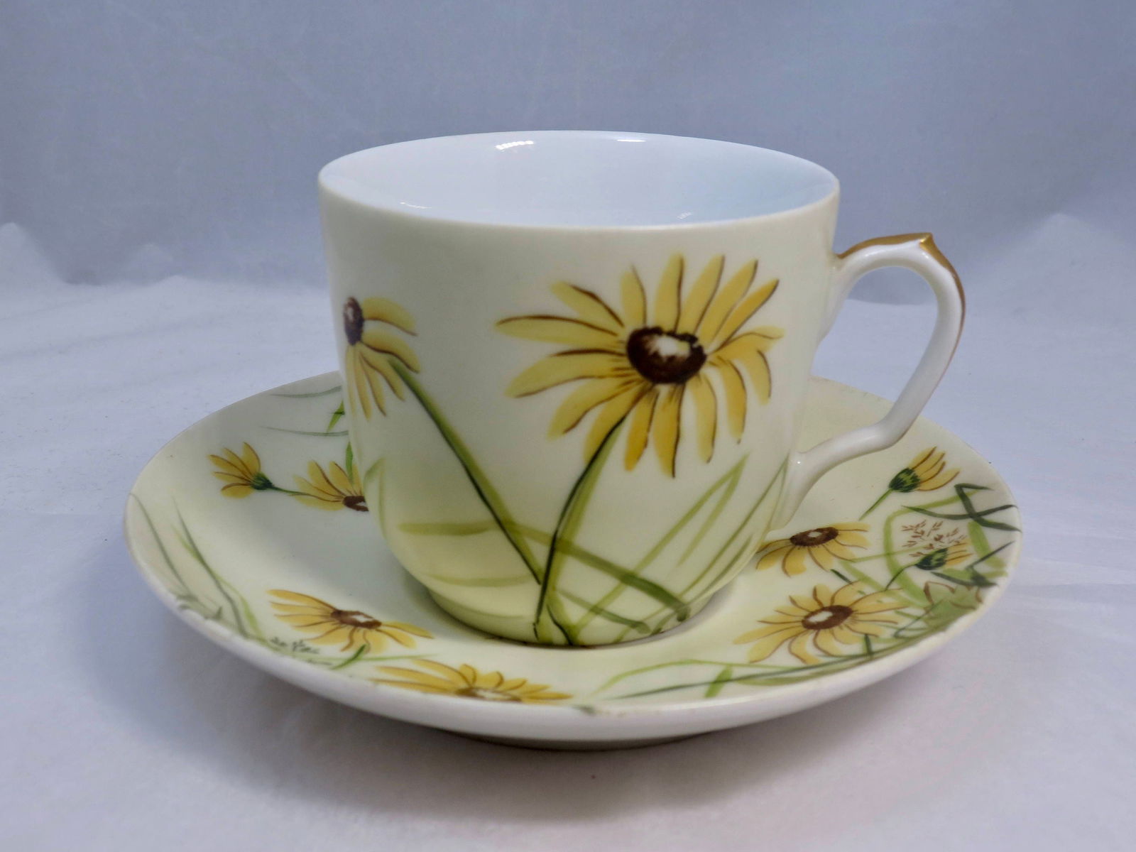 Antique Haviland Limoges Teacup and Saucer - Duckwells