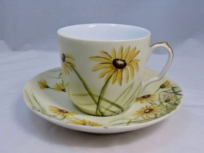 Antique Haviland Limoges Teacup and Saucer - Duckwells