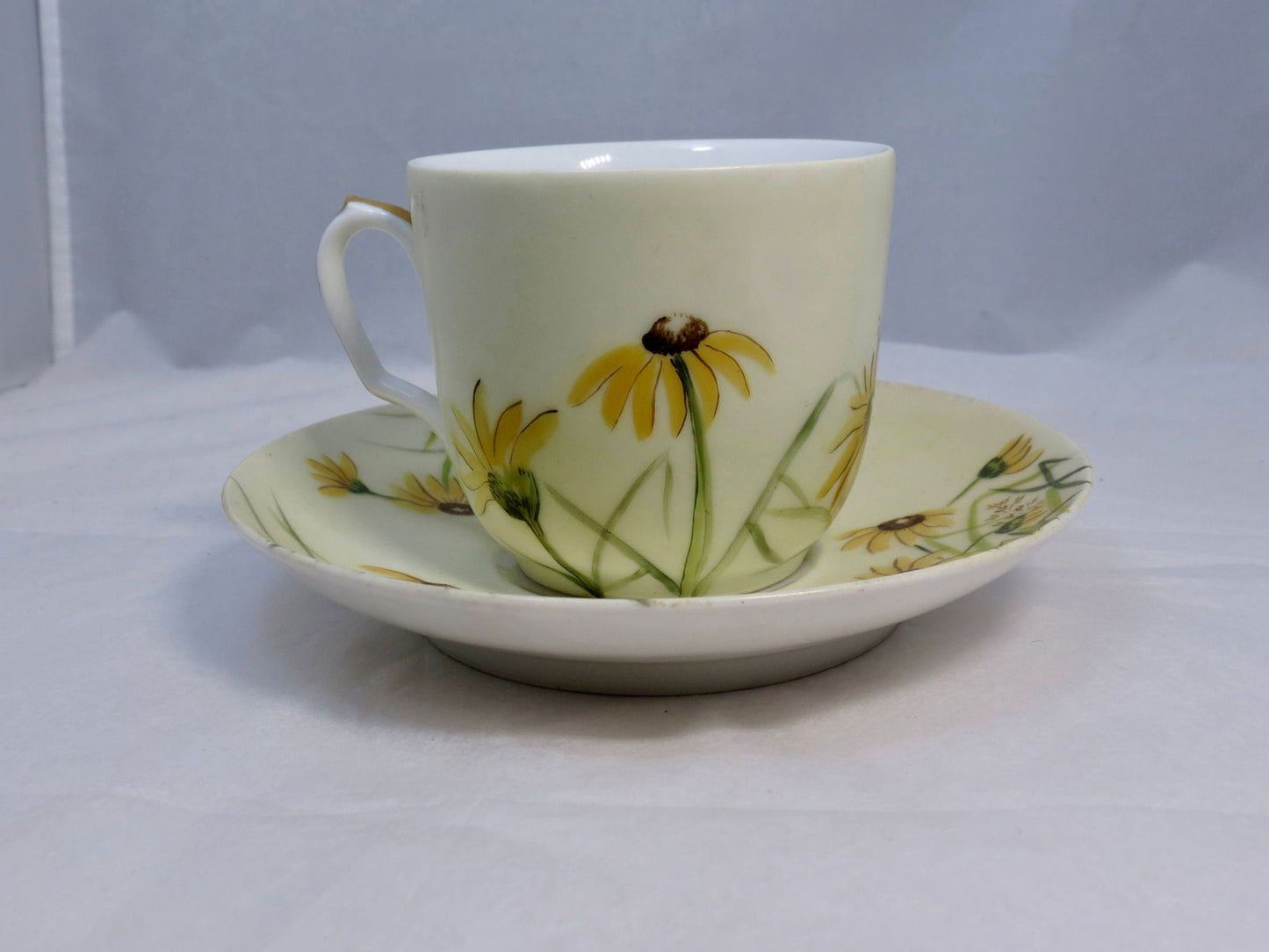 Antique Haviland Limoges Teacup and Saucer - Duckwells