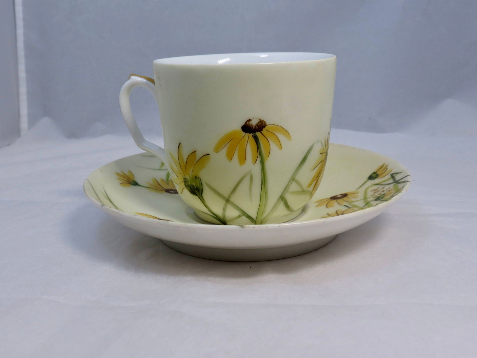 Antique Haviland Limoges Teacup and Saucer - Duckwells