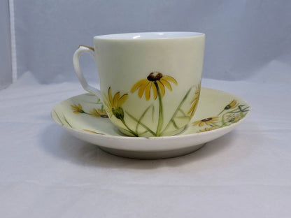 Antique Haviland Limoges Teacup and Saucer - Duckwells