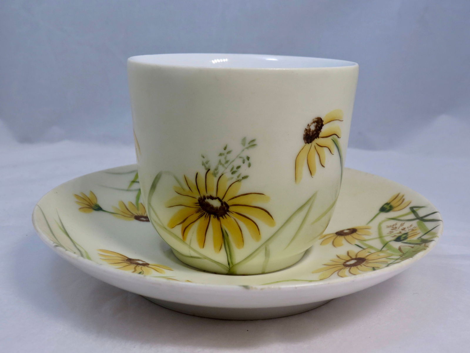 Antique Haviland Limoges Teacup and Saucer - Duckwells