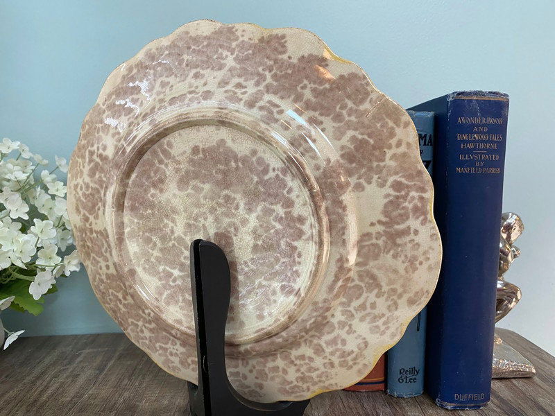 Antique Majolica Plate - Duckwells
