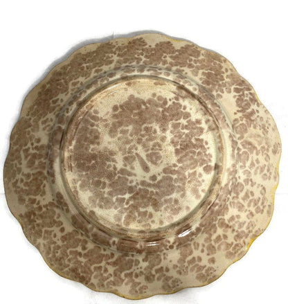 Antique Majolica Plate - Duckwells