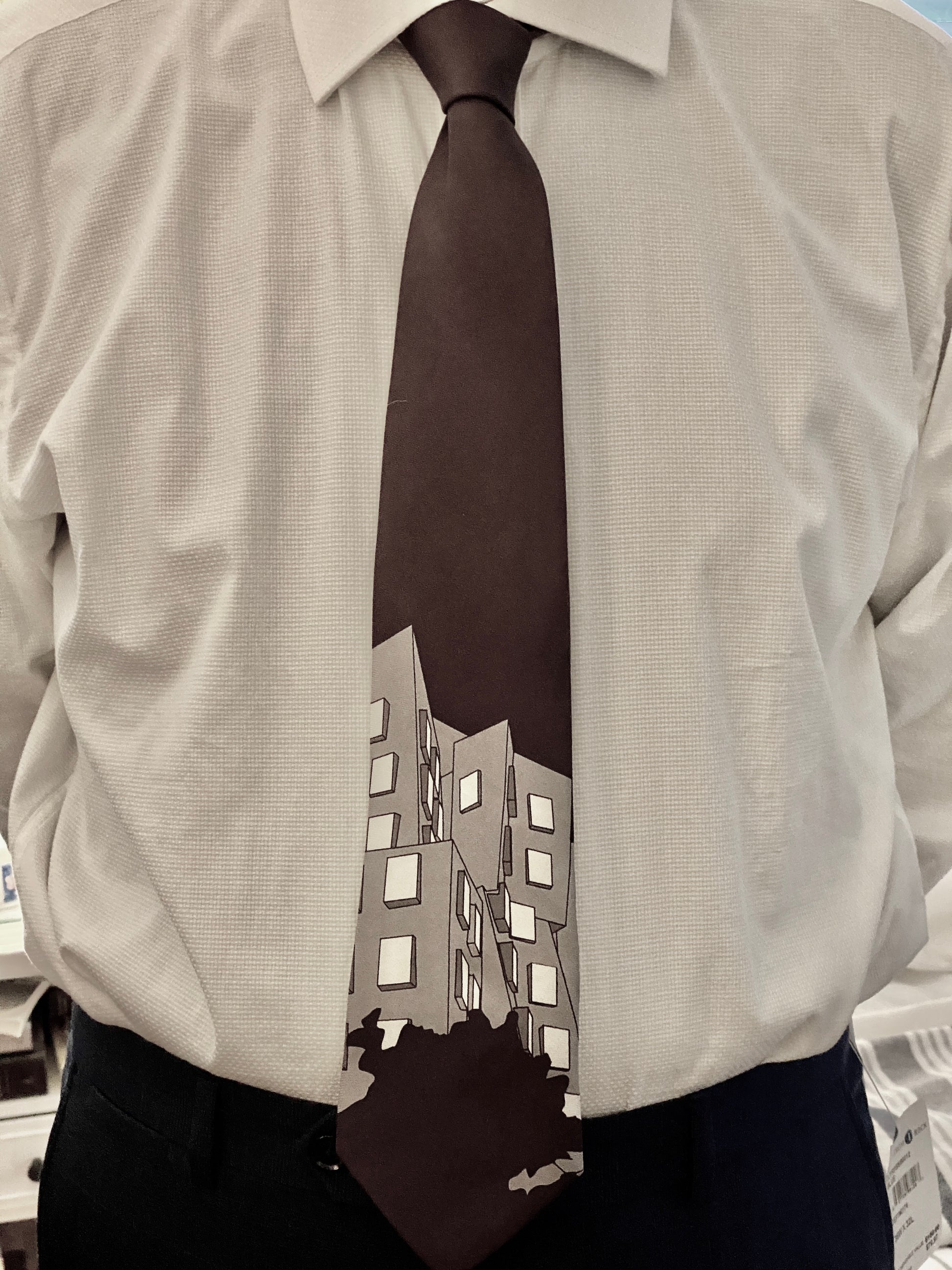 MIT Stata Center Men's Necktie - Duckwells