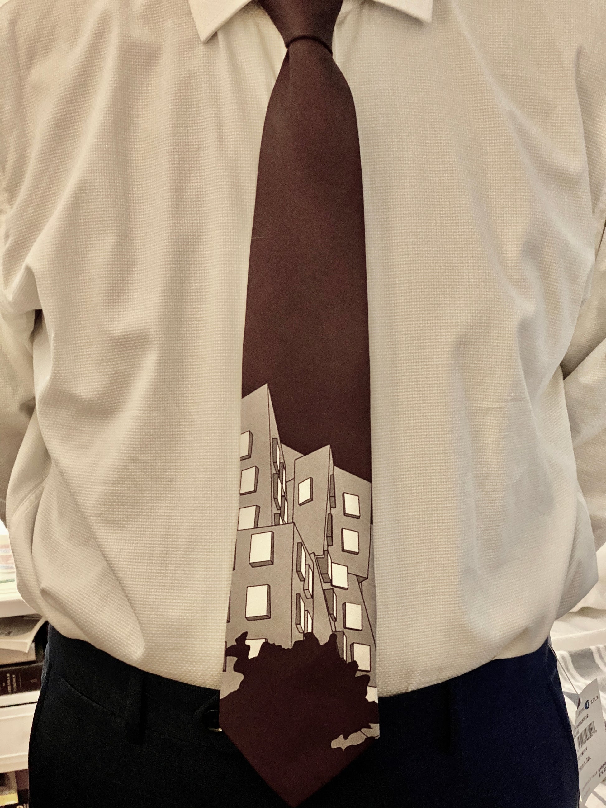 MIT Stata Center Men's Necktie - Duckwells