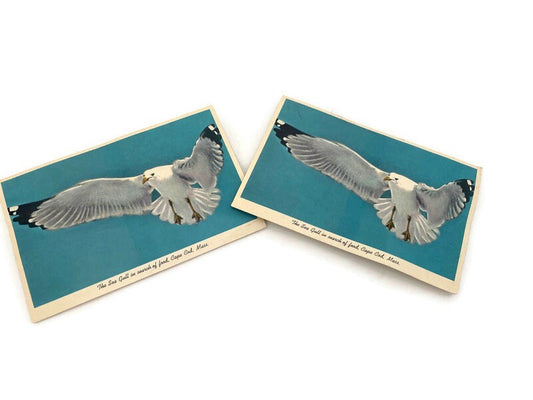 Midcentury Cape Cod Souvenir Squeaker Postcard - Duckwells
