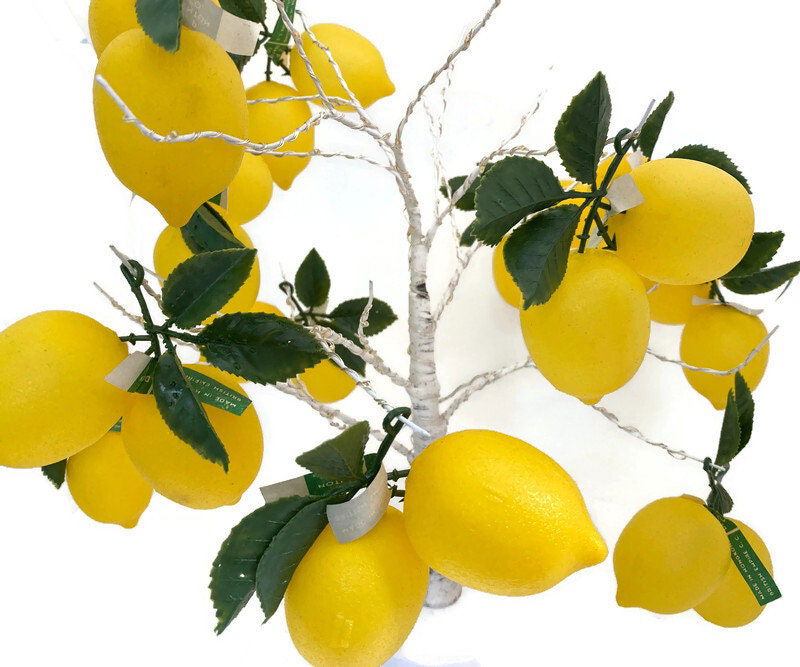 Midcentury Plastic Lemons - Duckwells
