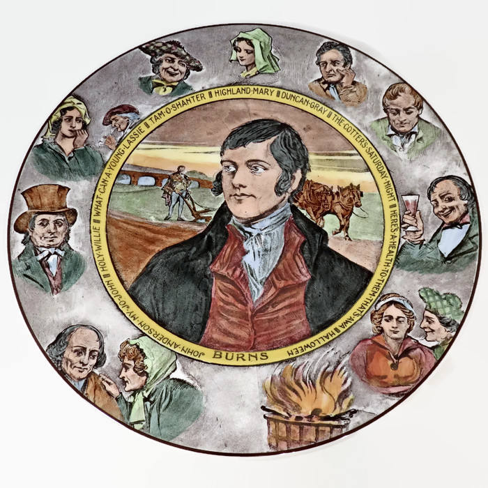 Vintage Burns Royal Doulton Plate - Duckwells