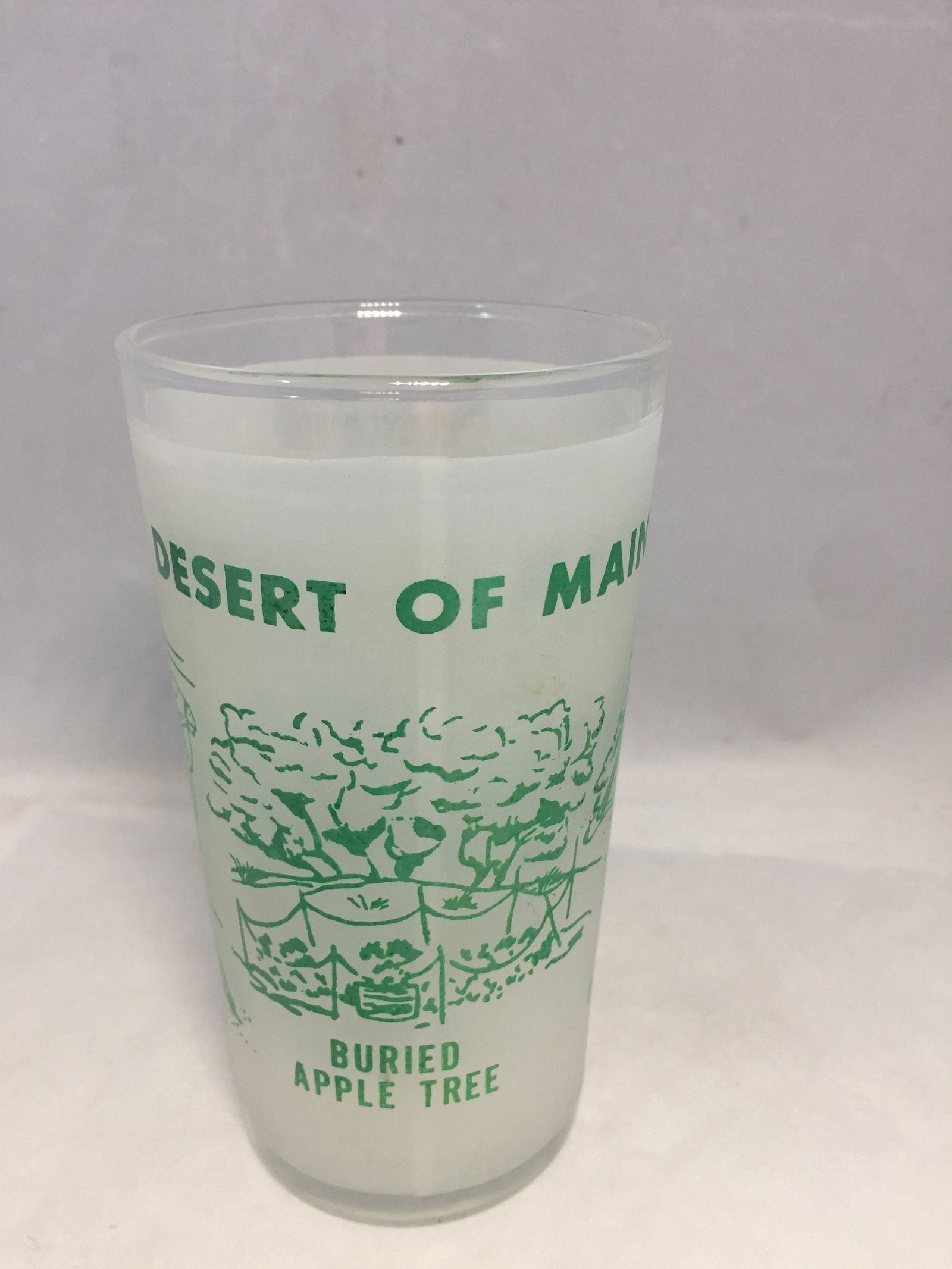 Vintage Desert of Maine Souvenir Glass - Duckwells