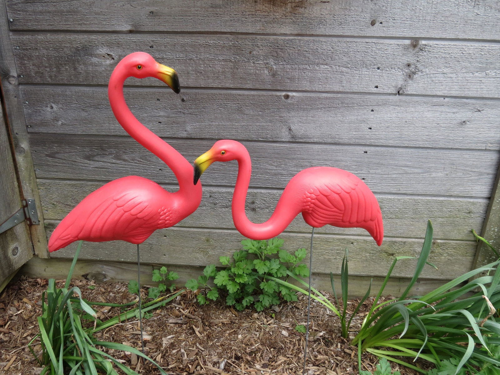 Vintage Featherstone Pink Flamingo - Duckwells