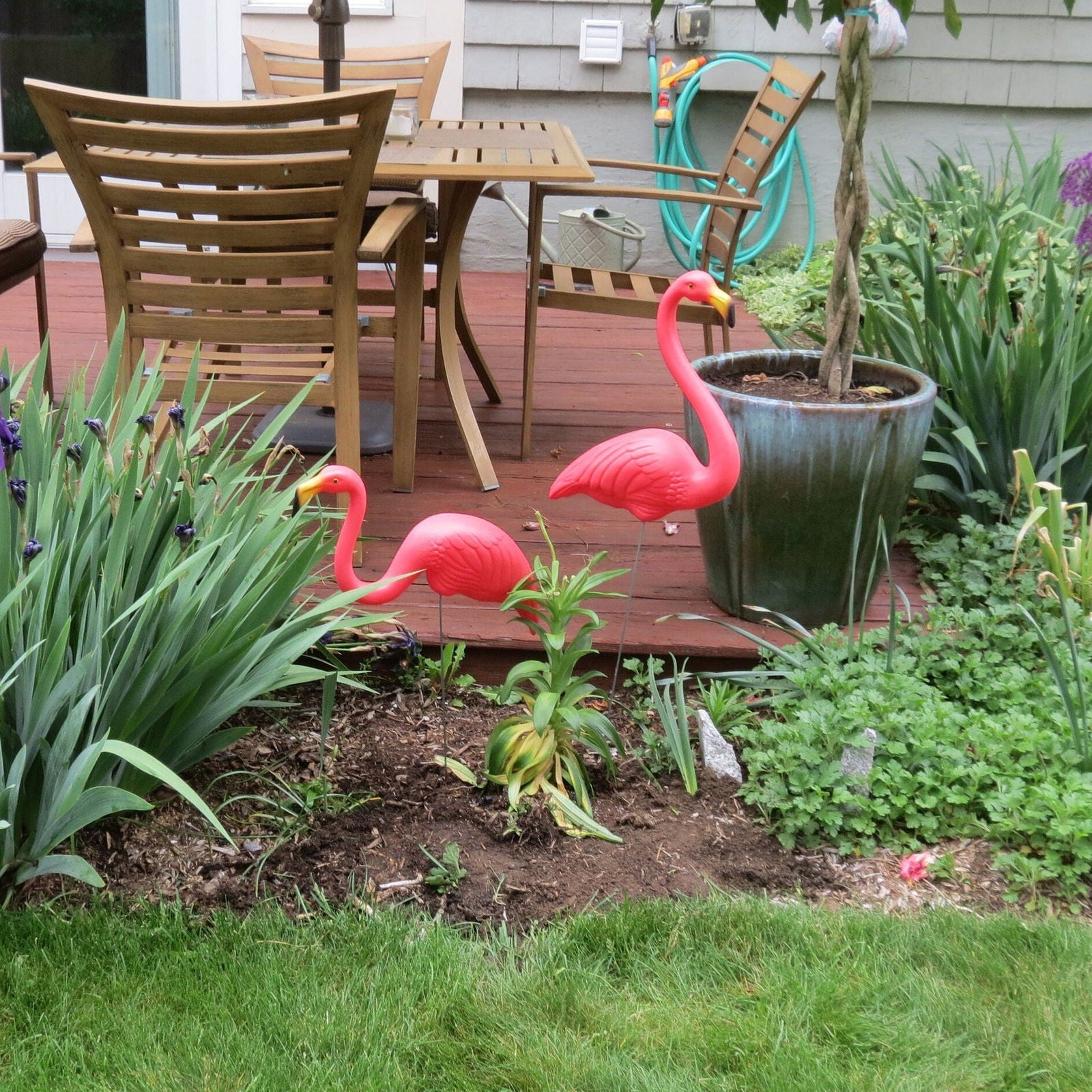 Vintage Featherstone Pink Flamingo - Duckwells