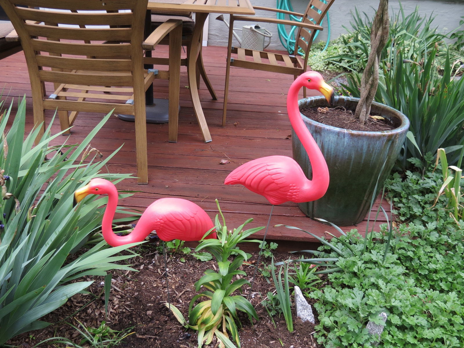 Vintage Featherstone Pink Flamingo – Duckwells1