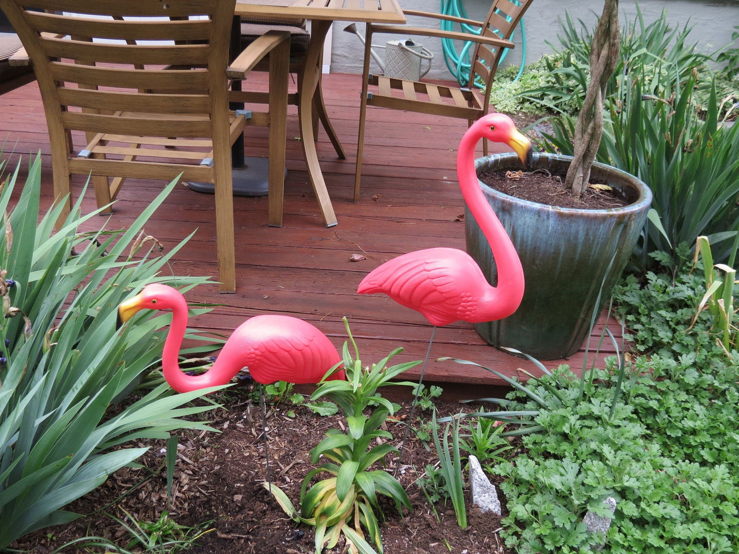 Vintage Featherstone Pink Flamingo - Duckwells