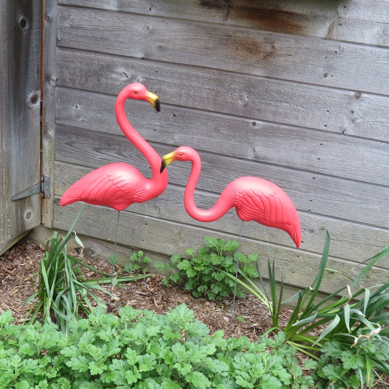 Vintage Featherstone Pink Flamingo - Duckwells
