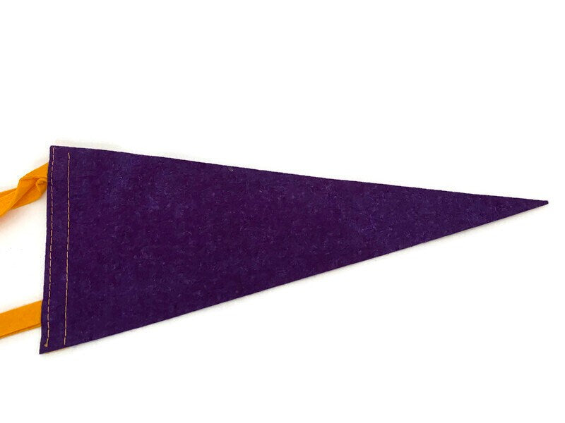 Vintage Howes Caverns Pennant - Duckwells