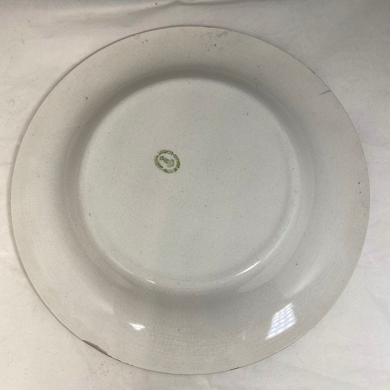 Vintage Niagara Falls Souvenir Plate - Duckwells