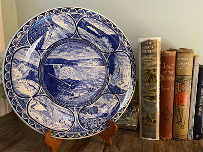 Vintage Niagara Falls Souvenir Plate - Duckwells