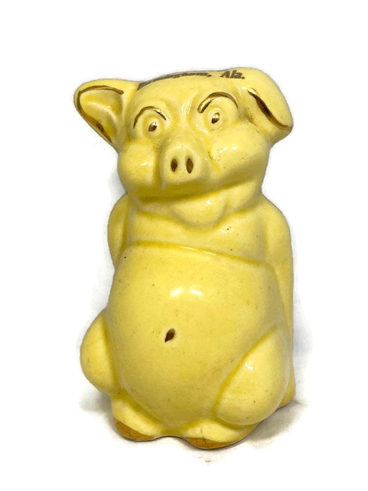 Vintage Piggy Bank, Ceramic Souvenir of Birmingham, Alabama