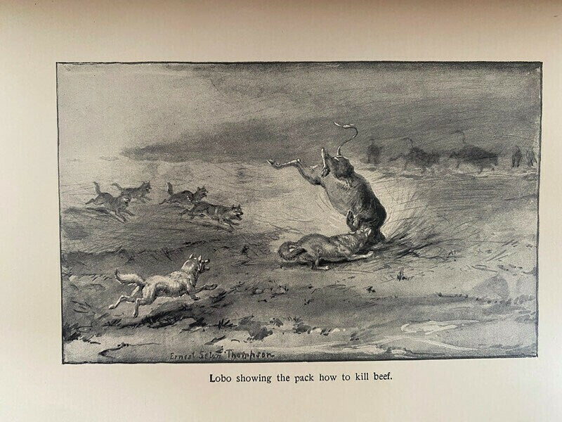 Antique Book, Wild Animals I Have Known by Ernest Seton-Thompson