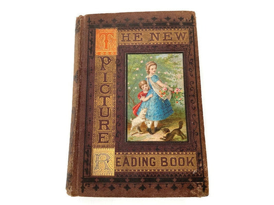 Rare Antique Book, The New Picture Reading Book, 1872