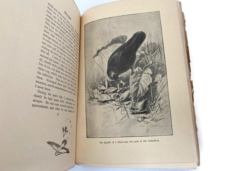 Antique Book, Wild Animals I Have Known by Ernest Seton-Thompson