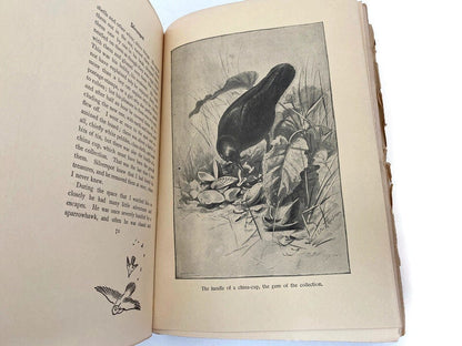 Antique Book, Wild Animals I Have Known by Ernest Seton-Thompson