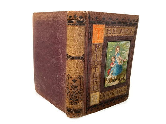 Rare Antique Book, The New Picture Reading Book, 1872