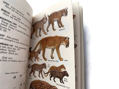 Vintage Field Guide to the Mammals, 1976 Third Edition