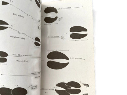 Vintage Field Guide to the Mammals, 1976 Third Edition