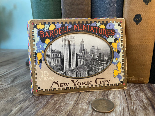Antique Photo Miniatures New York City